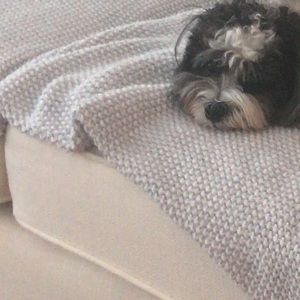 Meet your Posher, Tabitha